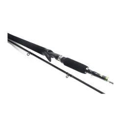 BFT - Big Fish Tackle BFT Raptor Jerkbait 6'6 -150g Jerkbaitspö"